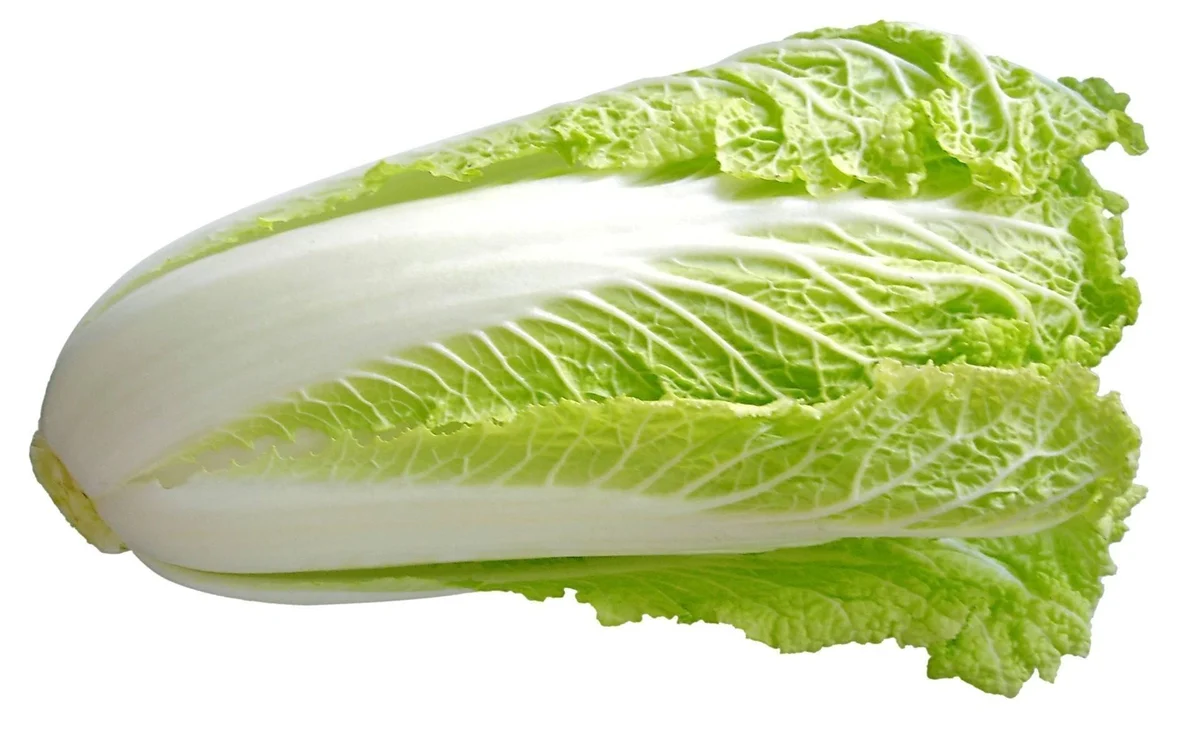 Chinese Cabbage