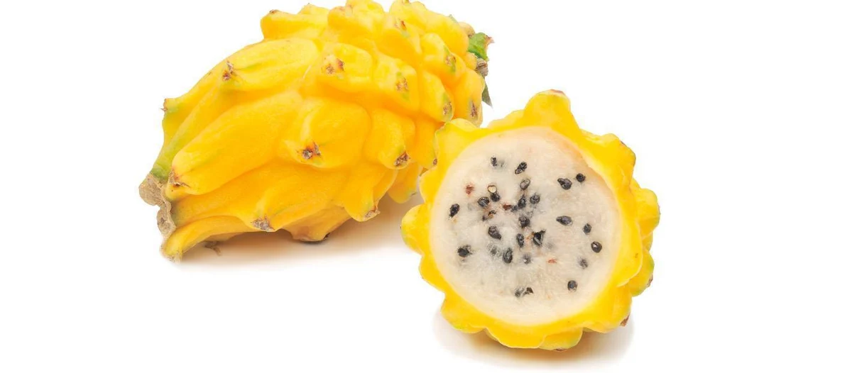 Pithaya "Yellow Dragon Fruit" 350g To 400g