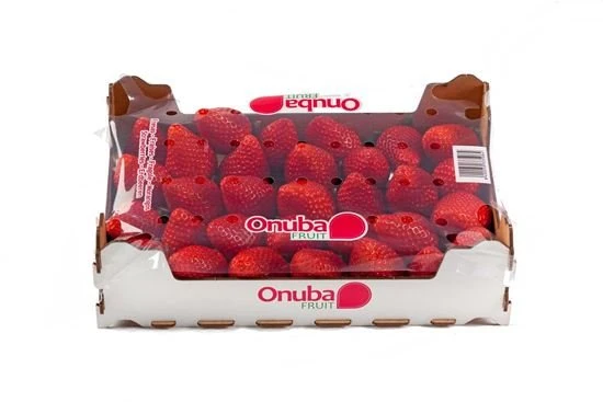 Strawberry 1Kg Case