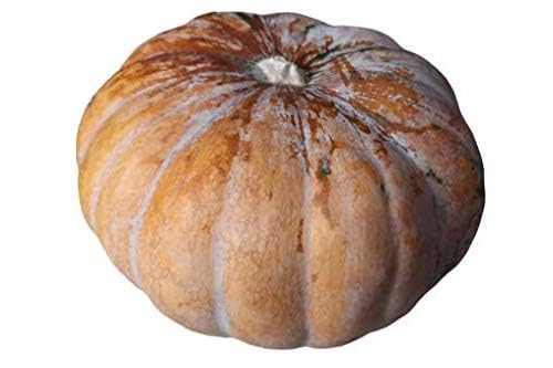 Red Pumpkin Local 1.5Kg Approx.