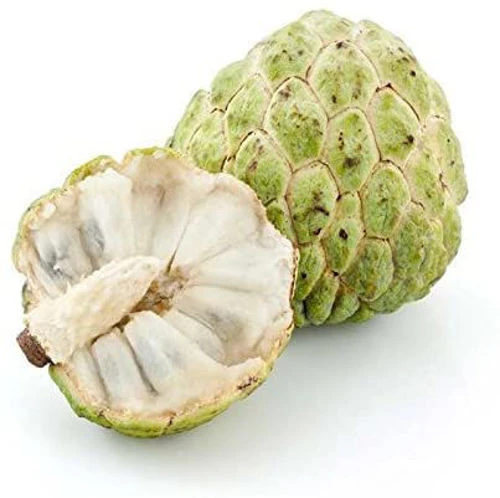 Lebanese Custard Apple (Ashta) 500g (2 Pcs) — قشطة | Air-Flown