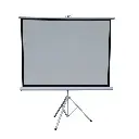 Green Lion Portable Projection Screen with Tripod Stand 72 Inch - Matte White