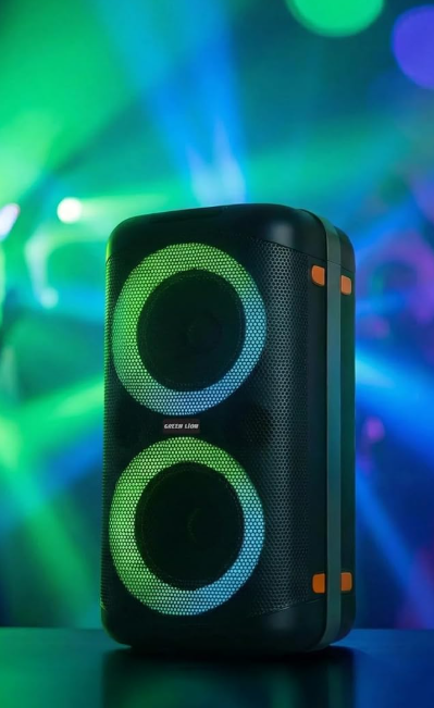 Green Lion Party Life 600 Portable Bluetooth Speaker 20W with Dual 5-Inch Drivers, RGB Lighting & TWS Stereo - Black
