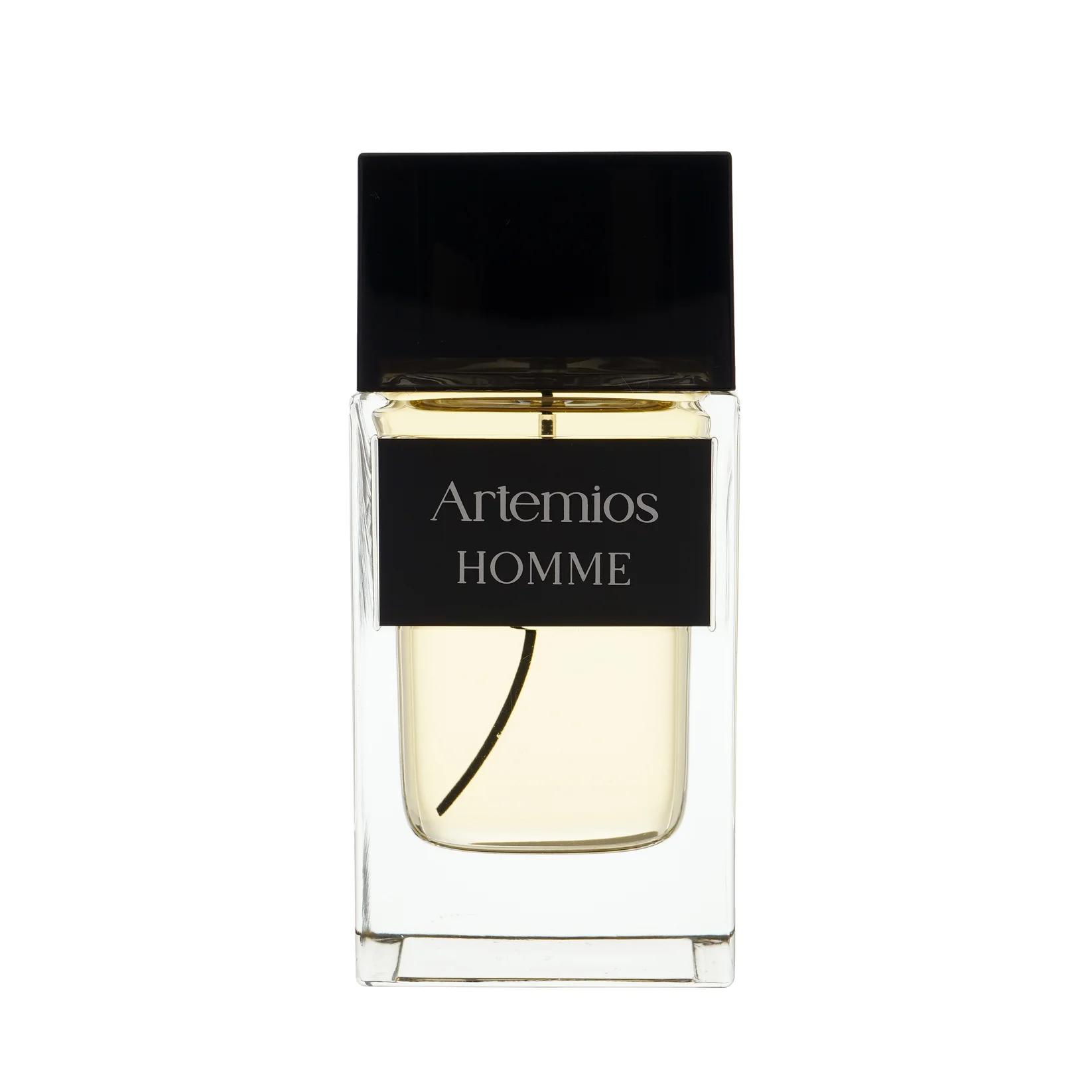 Artemios Homme Eau De Parfum 100ml – Woody Aromatic Perfume for Men