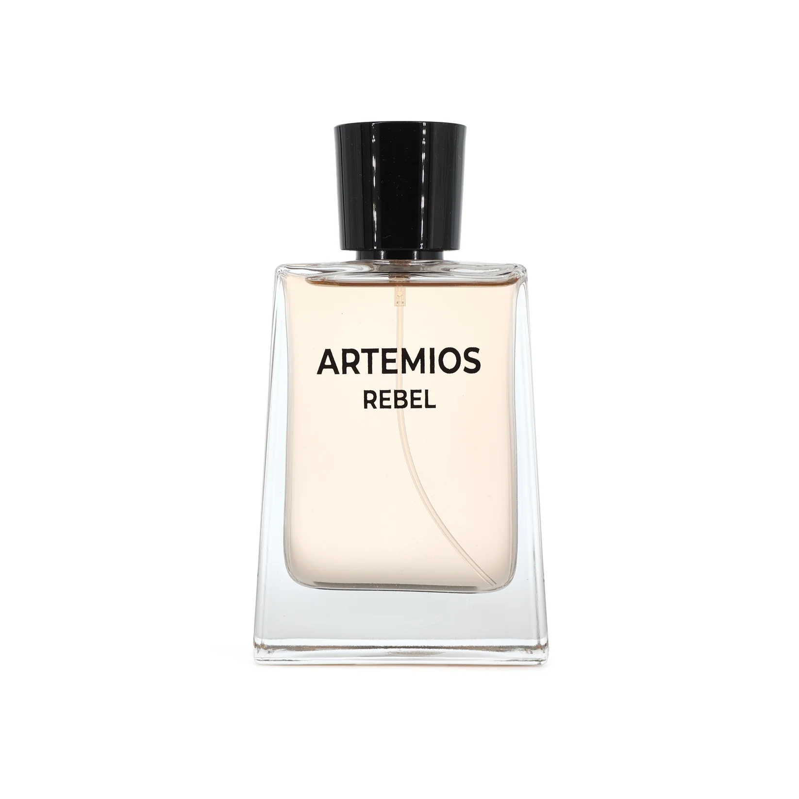 Artemios Rebel Eau De Parfum 100ml – Woody Spicy Perfume for Men