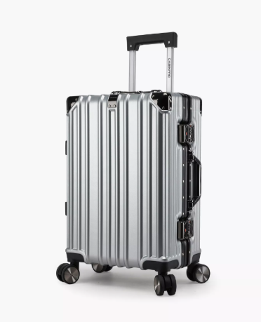 CabinPro 55 CM Cabin Hard Case Luggage Trolley Bag with Double 4 Spinner Wheels | CP001 - Silver