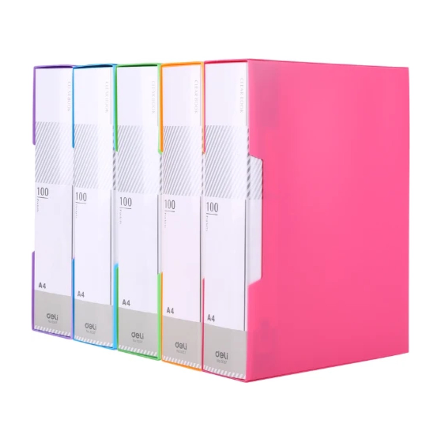 كتاب عرض ريو A4 100 جيوب مع حافظة ديلي