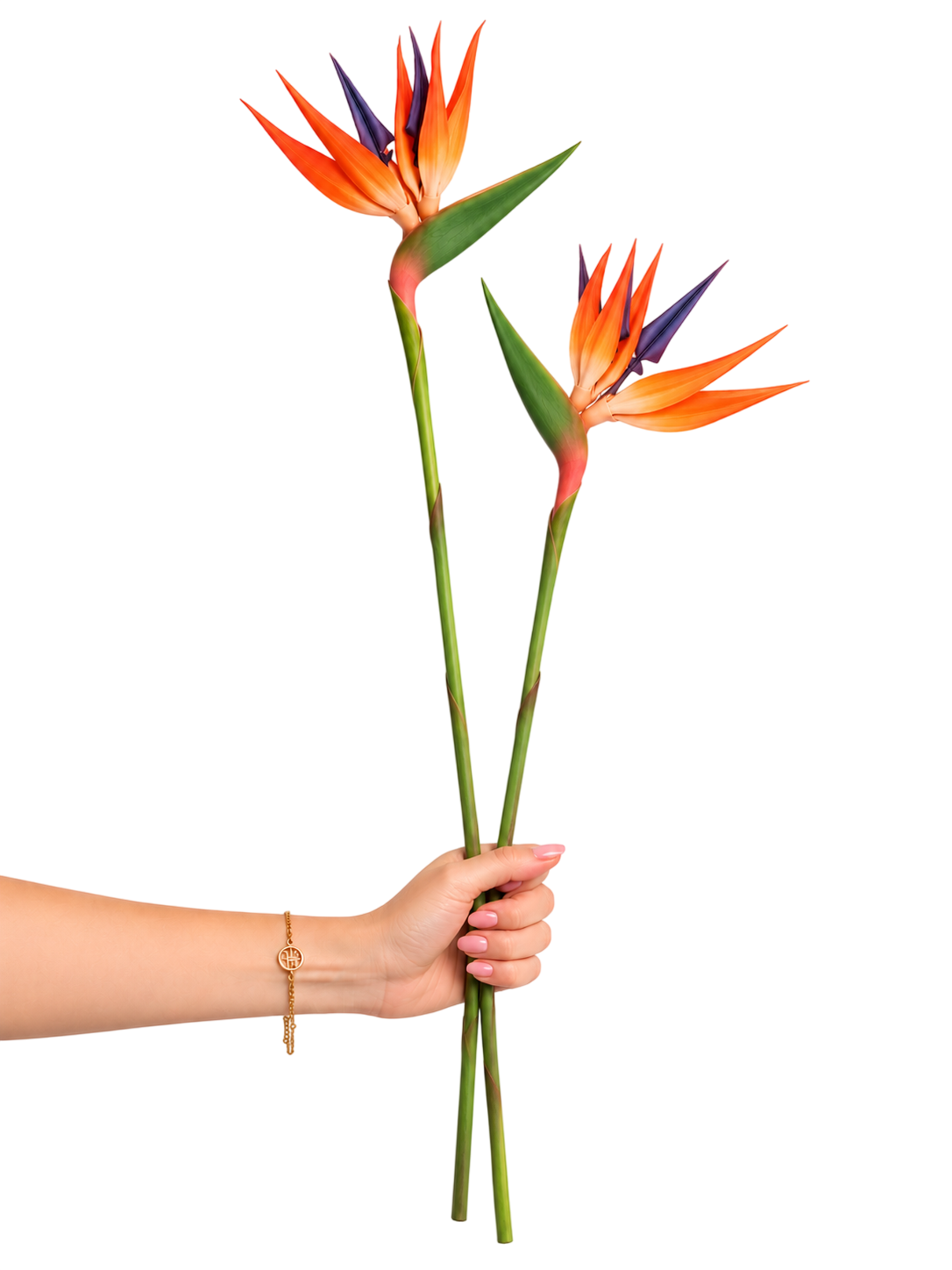 Beitna Helw Set of 2 Artificial Bird of Paradise Flowers, Orange & Purple Tropical Blooms with Green Stems, Home Decor – Tropical Elegance, Zero Maintenance