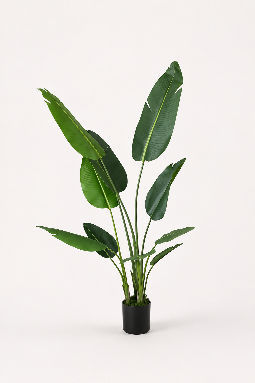 Beitna Helw Traveller Banana 160 cm – 160cm premium artificial banana tree with 10 natural-touch leaves, black pot and decorative grass