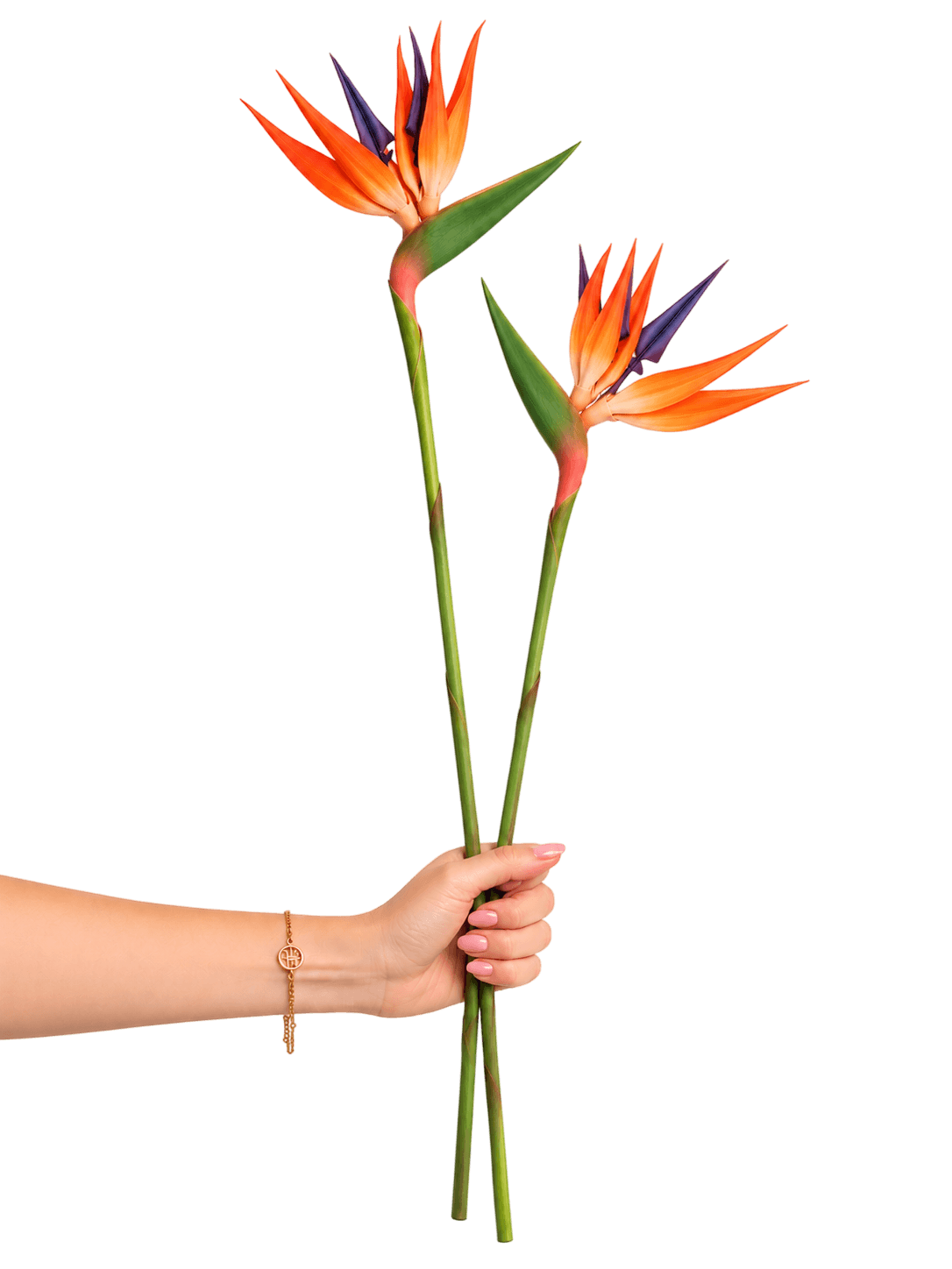 Beitna Helw Set of 2 Artificial Bird of Paradise Flowers, Orange & Purple Tropical Blooms with Green Stems, Home Decor – Tropical Elegance, Zero Maintenance