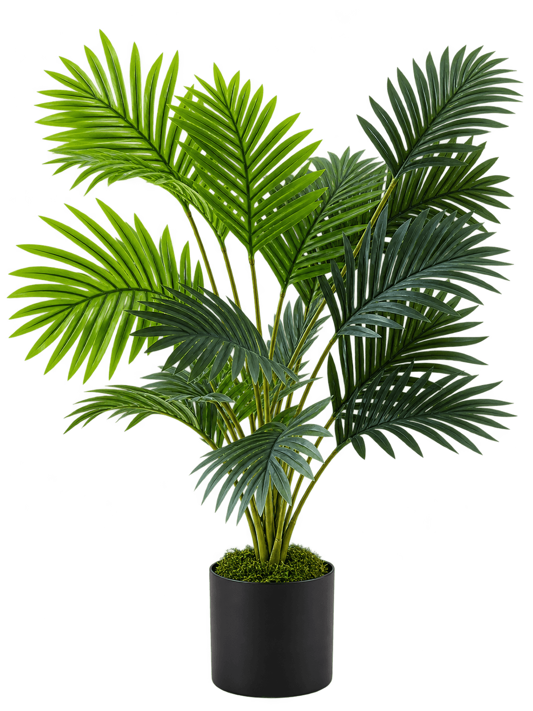 Beitna Helw Feather Palm – 75cm lush artificial Feather Palm with 18 elegant fronds