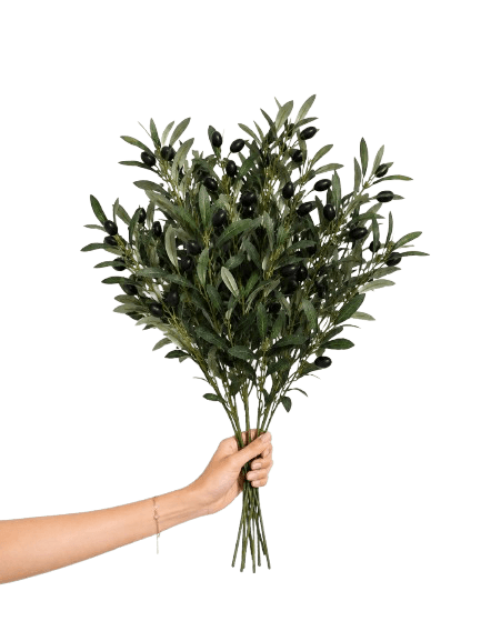 Beitna Helw Olive Bunch Set 50 cm – Set of 5 realistic 50cm olive branches for fuller arrangements and elegant home décor