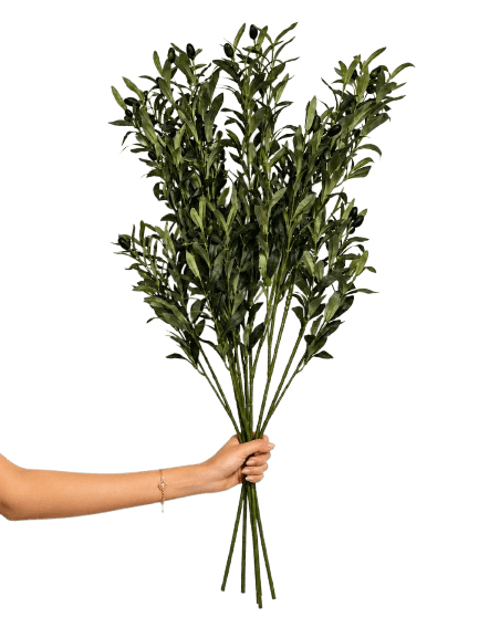 Beitna Helw Olive Branch Set 100 cm – Set of 4 high-density 100cm olive branches with 1,080 leaves and 36 olives