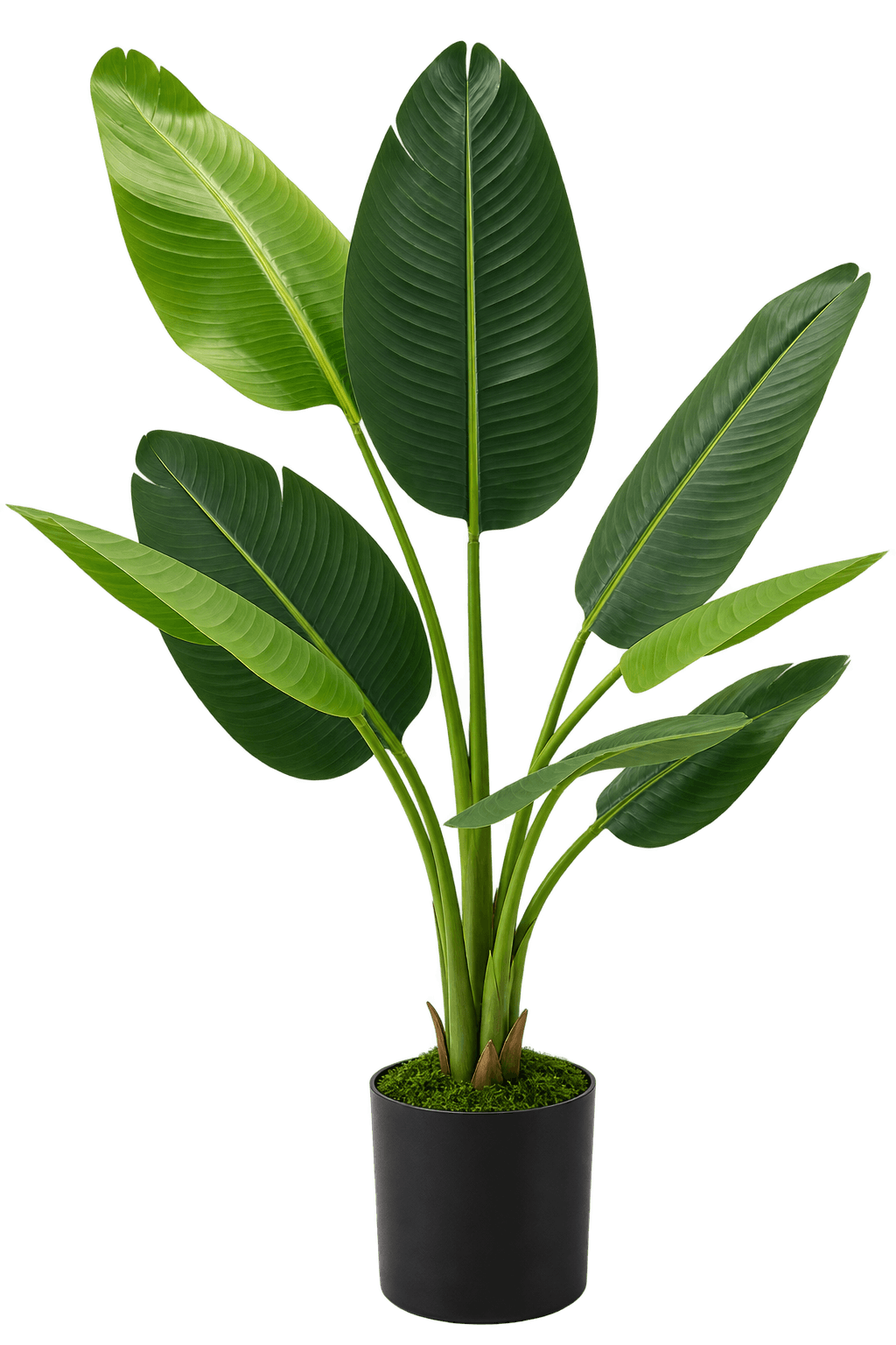 Beitna Helw Traveller Banana 120 cm – 120cm premium artificial banana tree with 8 natural-touch leaves, black pot and decorative grass
