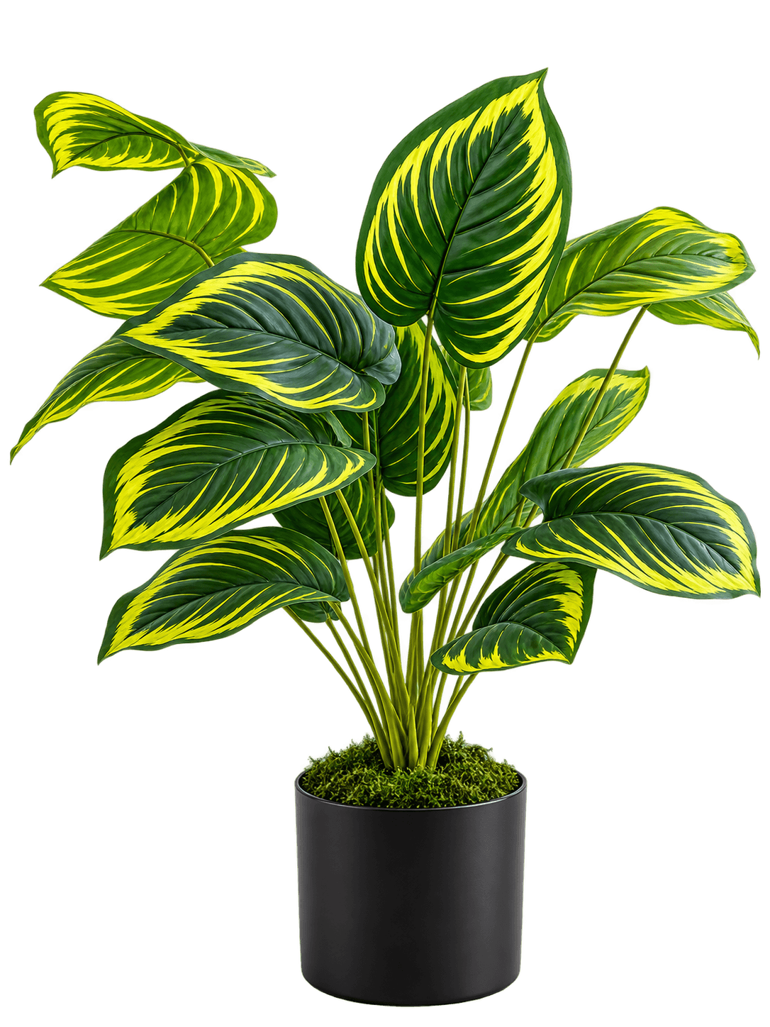 Beitna Helw Lines Monstera – 75cm lush artificial Lines Monstera with 18 elegant leaves