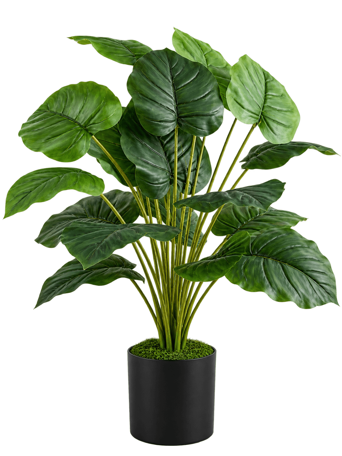 Beitna Helw Wavy Monstera – 75cm lush artificial Wavy Monstera with 18 statement leaves